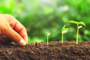 638eb669f0923e558343c99576d3aa63-300x198 Depósitos a prazo