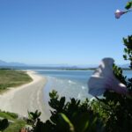 beach, nature, ilha do mel, paraná