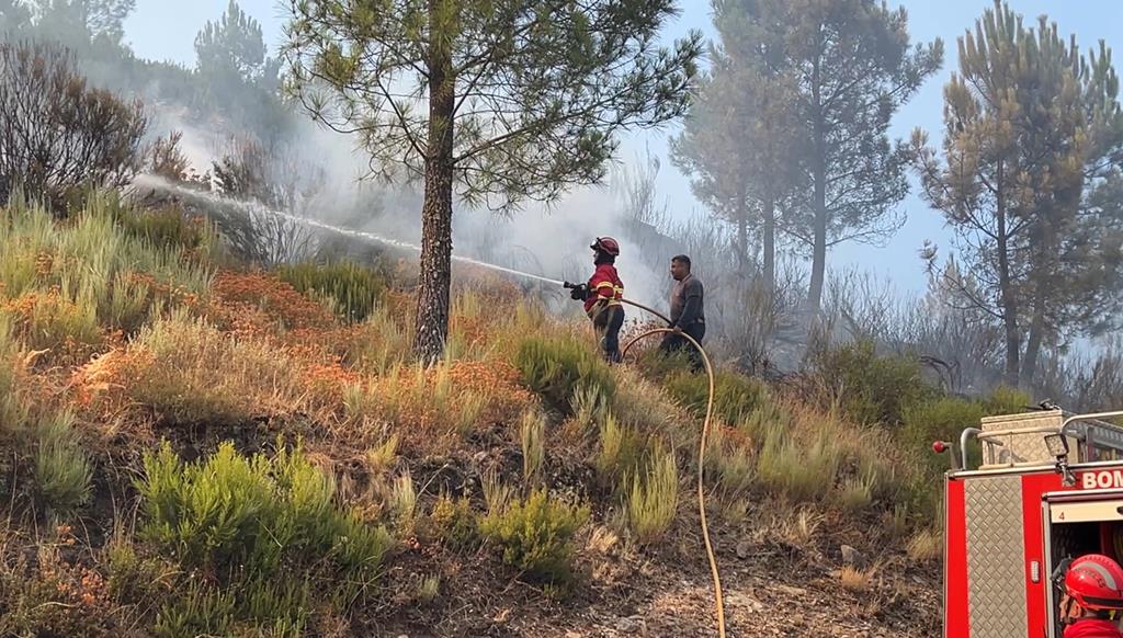 img-534479801de1defaultlarge_1024 Trump desflagra escalada inédita de entre Brasil e EUA